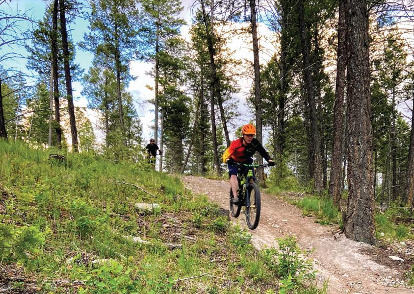 Mountain biker rides town a forest trail